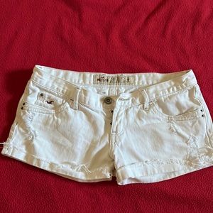 Hollister yet while short